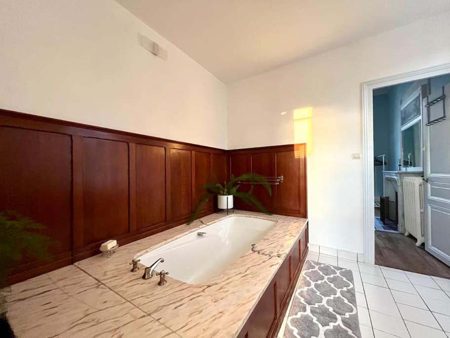 Вилла La Demeure De Margot - 24 Couchages Villeneuve-sur-Yonne Экстерьер фото